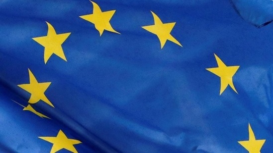 The investigation will “assess whether Google has violated EU competition rules by favouring its own online display advertising technology services”, a statement from the EU executive said. (Reuters) The investigation will “assess whether Google has violated EU competition rules by favouring its own online display advertising technology services”, a statement from the EU executive said. (Reuters)