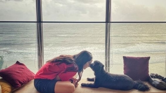 Shraddha Kapoor gave fans a glimpse of the gorgeous sea-view from her home as she enjoyed 'monsoon snuggles' with her pet dog.