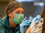The one-shot J&amp;J vaccine is seen as particularly helpful in ensuring effective vaccination rates in remote areas since it does not require a second dose. (AFP)