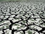“It confirms what we already knew, that this situation is very dire and that we need to act right now,” Thunberg said. In picture - Dried area of the Penuelas Lake in Chile.(AFP) “It confirms what we already knew, that this situation is very dire and that we need to act right now,” Thunberg said. In picture - Dried area of the Penuelas Lake in Chile.(AFP)