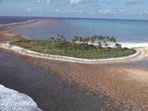 The 60 signatories to the appeal include herpetologist Romulus Whitaker, ecologist Katik Shanker, wildlife biologist Bivash Pandav, marine scientist Divya Panicker, and ecologist Harini Nagendra. The 60 signatories to the appeal include herpetologist Romulus Whitaker, ecologist Katik Shanker, wildlife biologist Bivash Pandav, marine scientist Divya Panicker, and ecologist Harini Nagendra.