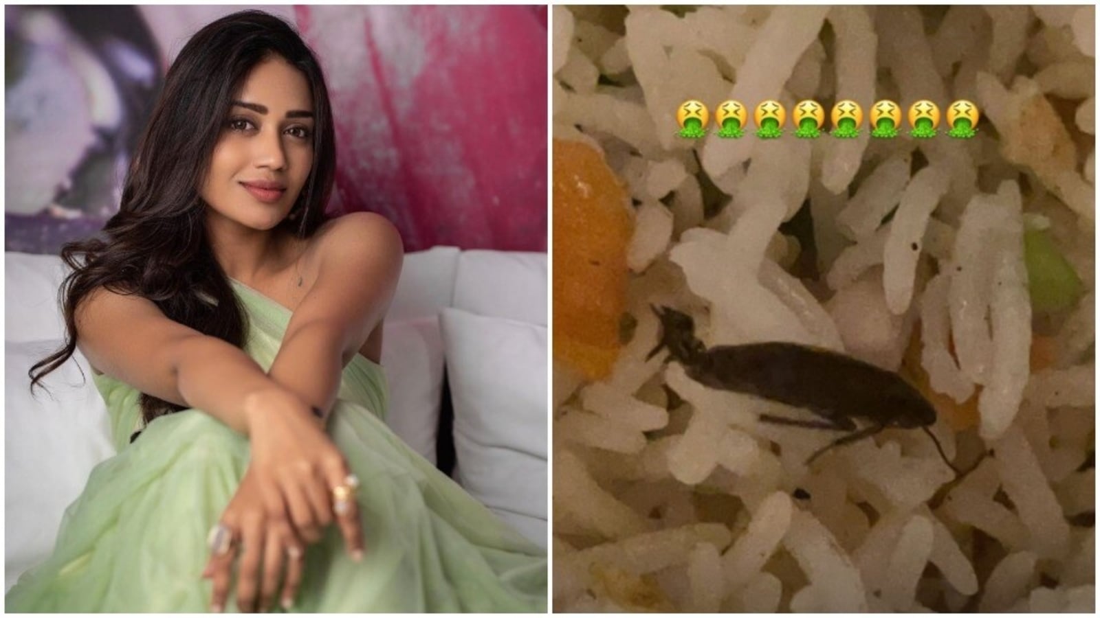 Tamil actor Nivetha Pethuraj complains to Swiggy after finding cockroaches in her meals, shares pic