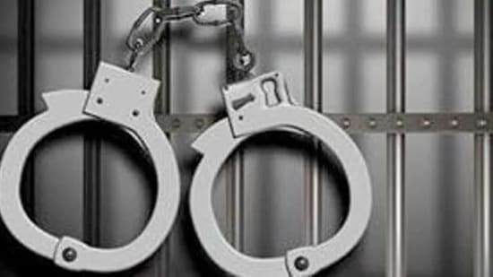 The accused was found involved in bogus outward supplies of around  ₹600 crore, involving ITC of  ₹94 crore and bogus inward supplies of  ₹630 crore involving ITC of  ₹98 crore (Representative Image/HT File)
