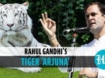 Congress workers adopted white tiger at Hampi zoo in Rahul Gandhi's name (Agencies)