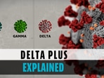 Delta Plus