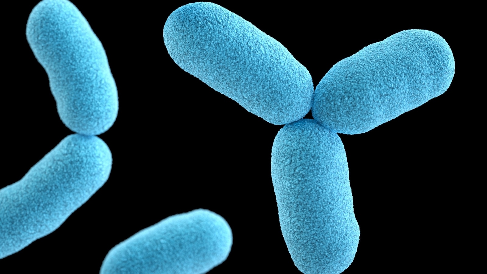 Membrane proteins of bacteria and humans show surprising similarities