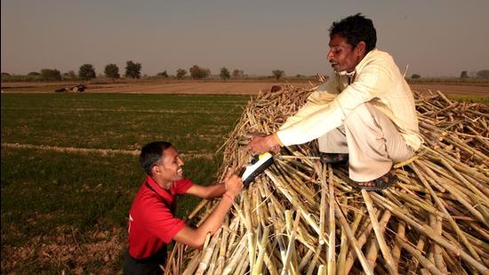 The biggest enabling reform for the future has to be the JAM trinity — opening bank accounts for all Indian households, getting 1.2 billion Indians enrolled onto Aadhaar and getting almost all Indians a mobile phone (Hindustan Times)