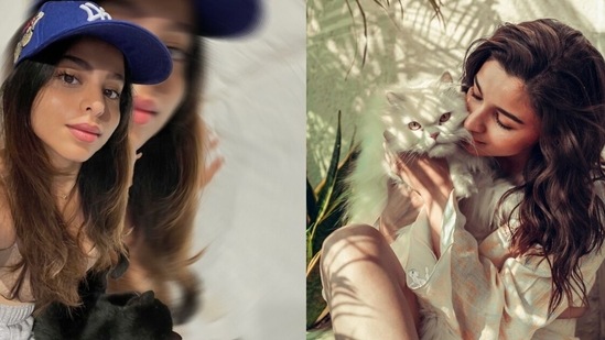 Suhana Khan shares a new picture with a cat in her lap and Alia Bhatt reacts. Suhana Khan shares a new picture with a cat in her lap and Alia Bhatt reacts.