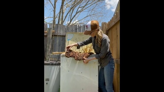 Erika Thompson from Texas Beeworks removing the bee colony.(Instagram/@texasbeeworks) Erika Thompson from Texas Beeworks removing the bee colony.(Instagram/@texasbeeworks)