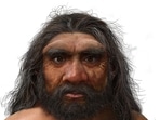 “Dragon Man” probably lived in a forested floodplain area as part of a small community. (AFP Photo)