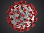 Body's immune cells can be 'trained' to respond even more aggressively and potently to threats, report University of California- Los Angeles scientists.(Unsplash) Body's immune cells can be 'trained' to respond even more aggressively and potently to threats, report University of California- Los Angeles scientists.(Unsplash)