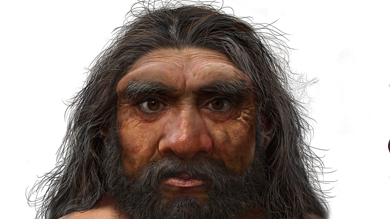 'Dragon Man' How The ‘new Human Species’ Was Found, Preserved
