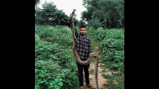 Ankit aka Tarzan releasing his catch in the wild (Sourced)