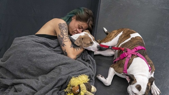 Austun Wilde rests with her two dogs, Bird Is The Wurd and Fenrir at a cooling center in the Oregon Convention Center on June 27 in Portland, Oregon. The dangerously hot temperatures raise wildfire risk, may worsen air pollution, and pose public health threats in a region where many don’t have air conditioning, Bloomberg reported.(Nathan Howard / Getty Images / AFP)