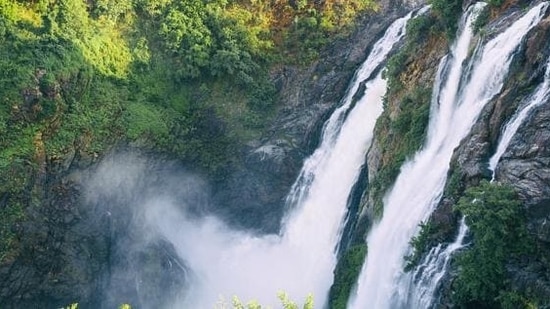The Jog falls are formed after Sharavathi river gets segmented into four cascades. (File Photo) The Jog falls are formed after Sharavathi river gets segmented into four cascades. (File Photo)