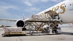 Emirates' first shipment under the Airbridge initiative flew from Dubai to Delhi on May 13.(Twitter / @emirates) Emirates' first shipment under the Airbridge initiative flew from Dubai to Delhi on May 13.(Twitter / @emirates)