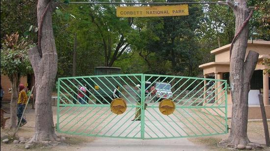 Corbett Tiger Reserve in Uttarakhand. (HT archive) Corbett Tiger Reserve in Uttarakhand. (HT archive)