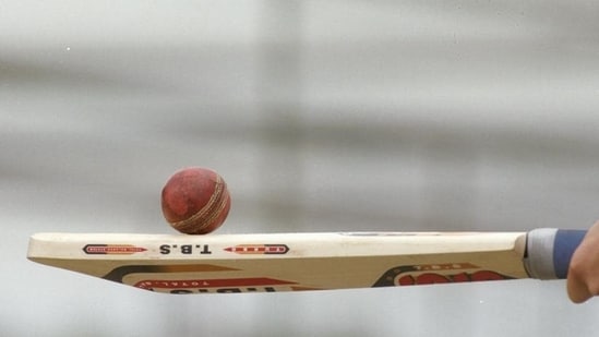 File image of a cricket bat and ball.(Getty Images)