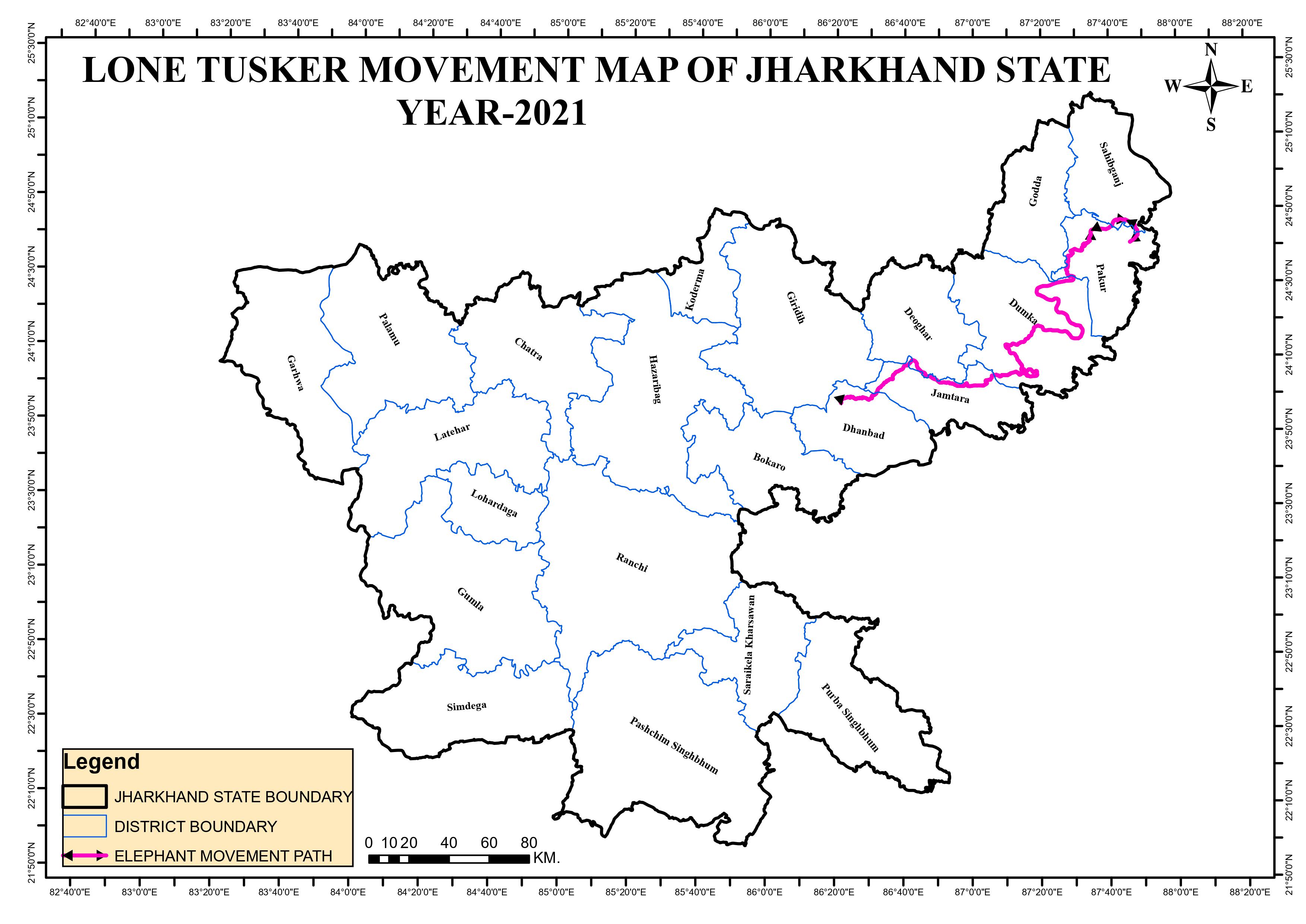 The distance the elephant roughly covered. (Forest dept) The distance the elephant roughly covered. (Forest dept)
