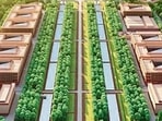 The Central Vista Avenue, for which no staff needs to be relocated, will be completed by December 2021, officials said.(HT Archive) The Central Vista Avenue, for which no staff needs to be relocated, will be completed by December 2021, officials said.(HT Archive)