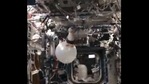 The image shows the toy penguin Guin Guin inside the International Space Station(ISS).(Twitter/@Astro_Megan) The image shows the toy penguin Guin Guin inside the International Space Station(ISS).(Twitter/@Astro_Megan)