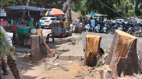 As per information, the trees have been chopped by the Ludhiana Improvement Trust (LIT) officials for widening the road near Suvidha Kendra inside mini secretariat. (HT Photo)