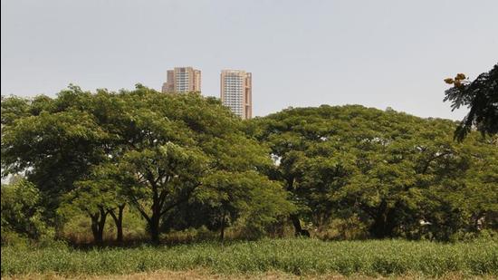 A view of Aarey Milk Colony, at Goregaon, in Mumbai. (HT Archive)