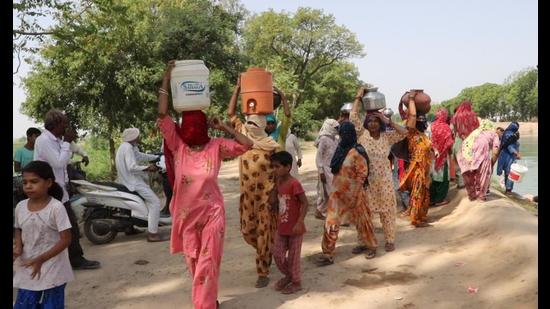Successive state governments have failed to resolve the issue and villagers are forced to get water for drinking from the Bhakra Canal passing through the village. (HT photo) Successive state governments have failed to resolve the issue and villagers are forced to get water for drinking from the Bhakra Canal passing through the village. (HT photo)