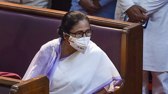 Mamata said that the BJP dictates the national television channels and is spreading misinformation. (PTI) Mamata said that the BJP dictates the national television channels and is spreading misinformation. (PTI)