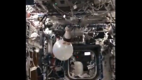 The image shows the toy penguin Guin Guin inside the International Space Station(ISS). (Twitter/@Astro_Megan) The image shows the toy penguin Guin Guin inside the International Space Station(ISS). (Twitter/@Astro_Megan)
