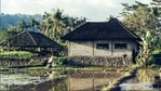 Globally, countries are using water reallocation as a response to water shortages. Globally, countries are using water reallocation as a response to water shortages.