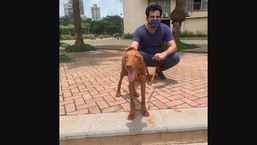 Sagarika Ghatge shared this picture of Zaheer Khan and their dog Logan on Instagram.