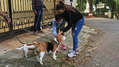 Neelam Kothari and her son petting dogs. Neelam Kothari and her son petting dogs.