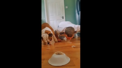 The man and the dog trying to win the eating contest. (Reddit/its_muh_username) The man and the dog trying to win the eating contest. (Reddit/its_muh_username)