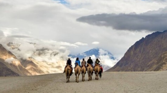 Nubra Valley: This is one of the best places to visit in Ladakh. The white sand desserts, the double-humped camels, the Karakoram range and the Shyak and Siachen rivers add more charm to the place.  (Instagram/@looktowardsthesky)