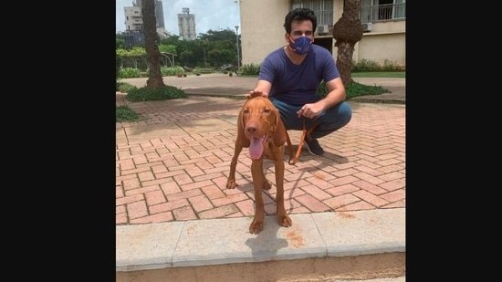 Sagarika Ghatge shared this picture of Zaheer Khan and their dog Logan on Instagram.