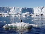 The Antarctic Peninsula is among the fastest-warming regions of the planet, almost 3°C over the last 50 years, the UN agency said. (Pauline Askin / REUTERS)
