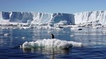 The Antarctic Peninsula is among the fastest-warming regions of the planet, almost 3°C over the last 50 years, the UN agency said. (Pauline Askin / REUTERS) The Antarctic Peninsula is among the fastest-warming regions of the planet, almost 3°C over the last 50 years, the UN agency said. (Pauline Askin / REUTERS)