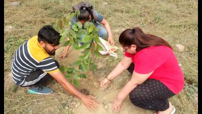 Environment enthusiasts are elated to begin monsoon plantation albeit with safety precautions such as face shields, masks, gloves and sanitisers. Environment enthusiasts are elated to begin monsoon plantation albeit with safety precautions such as face shields, masks, gloves and sanitisers.