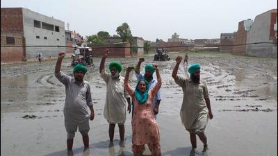 Farmers raising slogans against the Bharatiya Janata Party government and its leaders after uprooting saplings in party leader Harjit Singh Grewal’s fields. (HT FILE)