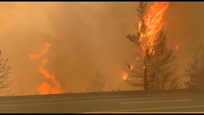 Trees burn along a street during a wildfire in Lytton, British Columbia, Canada . (REUTERS)