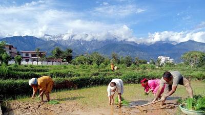 The monsoon is the lifeblood of Asia’s third-largest economy, as nearly 60% of the country’s net-sown area doesn’t have irrigation access and half of all Indians depend on a farm-based livelihood. (ANI) The monsoon is the lifeblood of Asia’s third-largest economy, as nearly 60% of the country’s net-sown area doesn’t have irrigation access and half of all Indians depend on a farm-based livelihood. (ANI)
