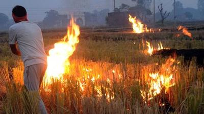 Burning of stubble by paddy growers of Haryana, western Uttar Pradesh and Punjab is a cause of environmental and health concern as the entire region, particularly National Capital Delhi, gets covered with smog at the onset of winter due to this menace. (BHARAT BHUSHAN) Burning of stubble by paddy growers of Haryana, western Uttar Pradesh and Punjab is a cause of environmental and health concern as the entire region, particularly National Capital Delhi, gets covered with smog at the onset of winter due to this menace. (BHARAT BHUSHAN)