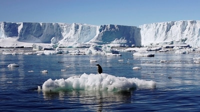 The Antarctic Peninsula is among the fastest-warming regions of the planet, almost 3°C over the last 50 years, the UN agency said. (Pauline Askin / REUTERS) The Antarctic Peninsula is among the fastest-warming regions of the planet, almost 3°C over the last 50 years, the UN agency said. (Pauline Askin / REUTERS)