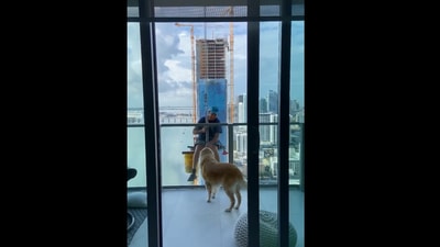 The image shows a dog looking at a man. (Instagram/@englishgoldenkobe)