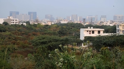 Aravali Biodiversity Park at MG road near Guru Dronacharya Metro station, in Gurugram (HT File) Aravali Biodiversity Park at MG road near Guru Dronacharya Metro station, in Gurugram (HT File)