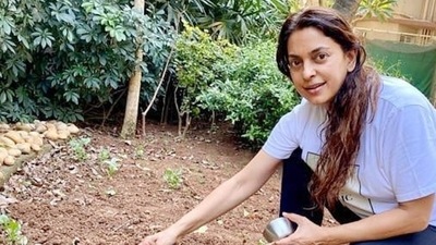Juhi Chawla: In the picture, the actor can be seen prepping beds for methi, kothmir and tomatoes. (Instagram/@iamjuhichawla) Juhi Chawla: In the picture, the actor can be seen prepping beds for methi, kothmir and tomatoes. (Instagram/@iamjuhichawla)