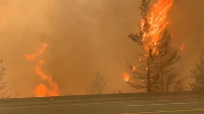 Trees burn along a street during a wildfire in Lytton, British Columbia, Canada. (Reuters) Trees burn along a street during a wildfire in Lytton, British Columbia, Canada. (Reuters)