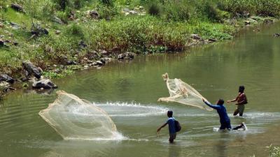The successful experiment has paved a way for culturing the trout fish in warm districts also when the water temperature is congenial, the minister said. (Representational image) (HT FILE) The successful experiment has paved a way for culturing the trout fish in warm districts also when the water temperature is congenial, the minister said. (Representational image) (HT FILE)