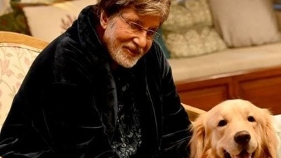 Part of Amitabh Bachchan's bungalow Prateeksha will be demolished for road widening, reports said. Part of Amitabh Bachchan's bungalow Prateeksha will be demolished for road widening, reports said.